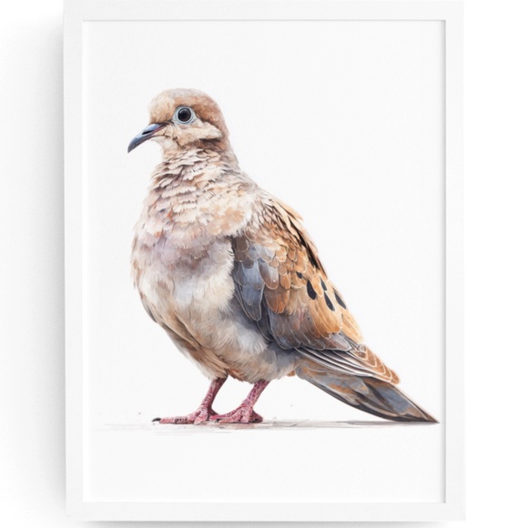 Creative Path Studios Other - Watercolor Mourning Dove Bird Portrait Wall Art Illustration Print Unframed